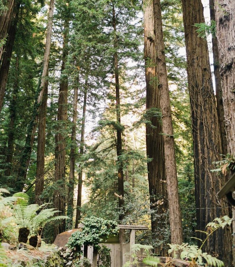 Sur Grove Big Sur Villa Exterior foto